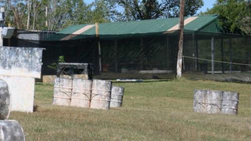 wfields 11
